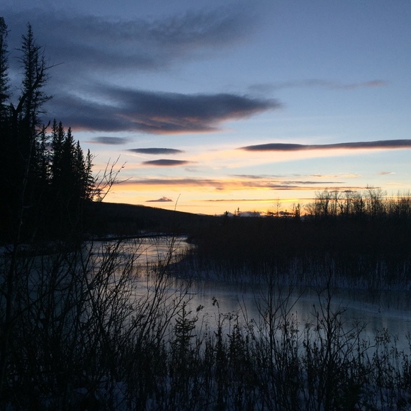 Meet your Posher, Keera - Picture 1 of 7